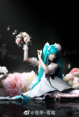 初音ミク@青帝-iris(10枚)