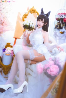 Momoko 葵葵 – Bride Atago