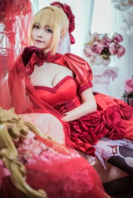 Fate/EXTRA ネロ・クラウディウス・ローズドレス.ver cn：大巻・小巻（12枚）