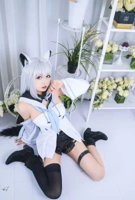 Black Cat OvO 白上フブキ