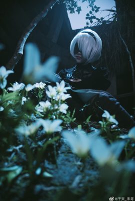 (千ページ_見つからない) 2B Cos