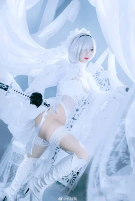 Nier: Automata 2b Fan Hua Marry @jizhili (写真9枚)