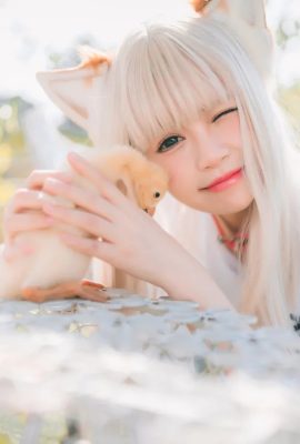 Chitanda Deerzi（Xing Dai Deer） – 大豆パウダー