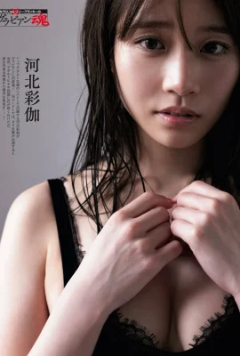 （hebei caijia）熱い女神の目は魅力的でセクシーです（10枚の写真）