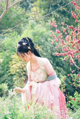 毎年 –  Haitang Xian（84枚の写真）