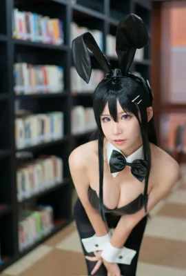 アニメブロガーLoves Teacher_phd  – バニーガールシニアシスター（8枚の写真）